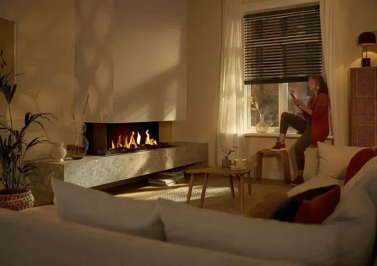 nº50 4629448-19833694